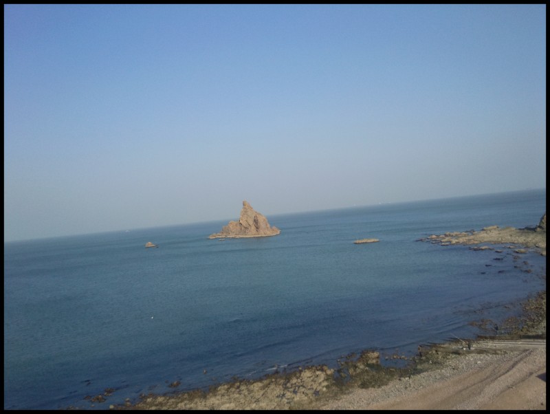 conew_照片423.jpg