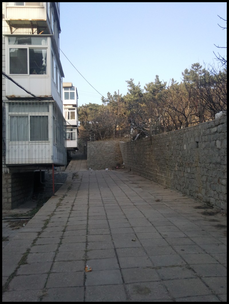 conew_照片429.jpg