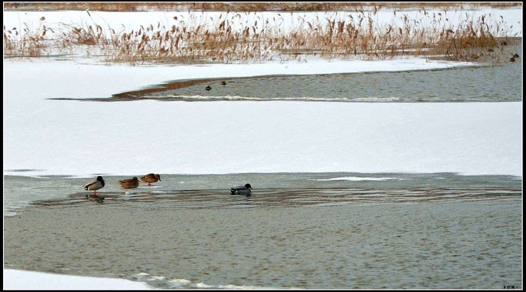 DSC_5515.jpg