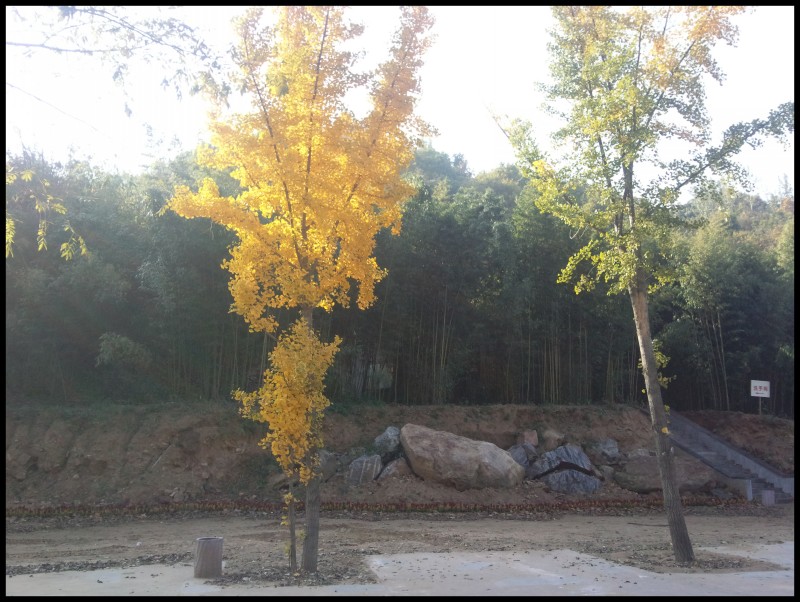 conew_照片318.jpg