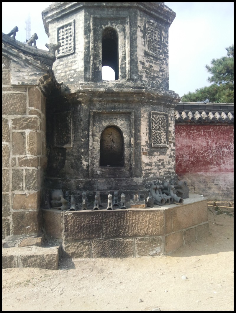 conew_照片320.jpg
