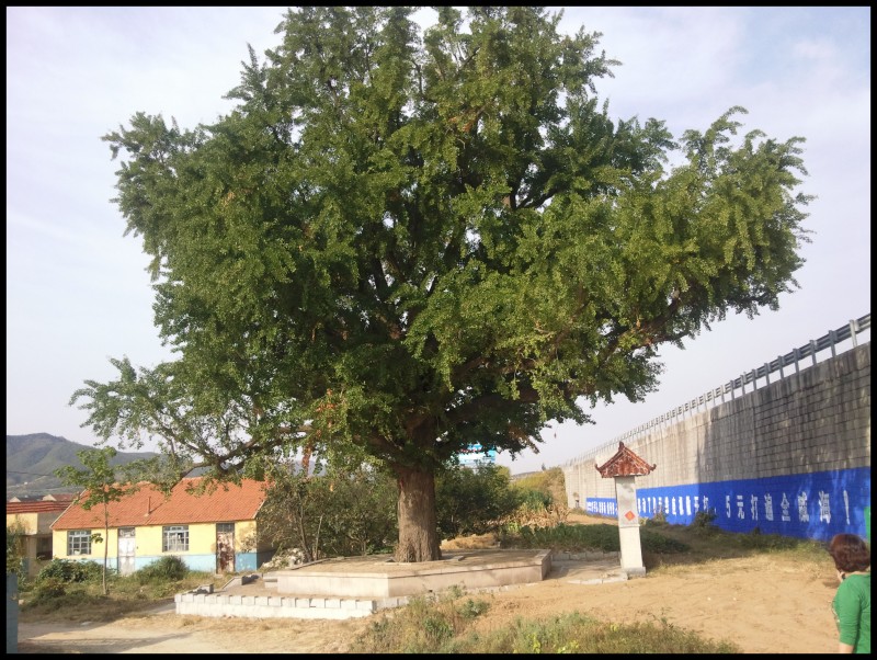 conew_照片303.jpg