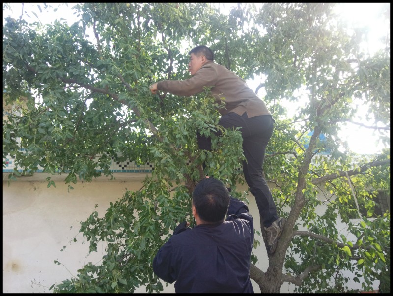 conew_照片309.jpg