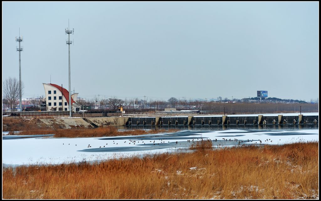 DSC_5808.jpg