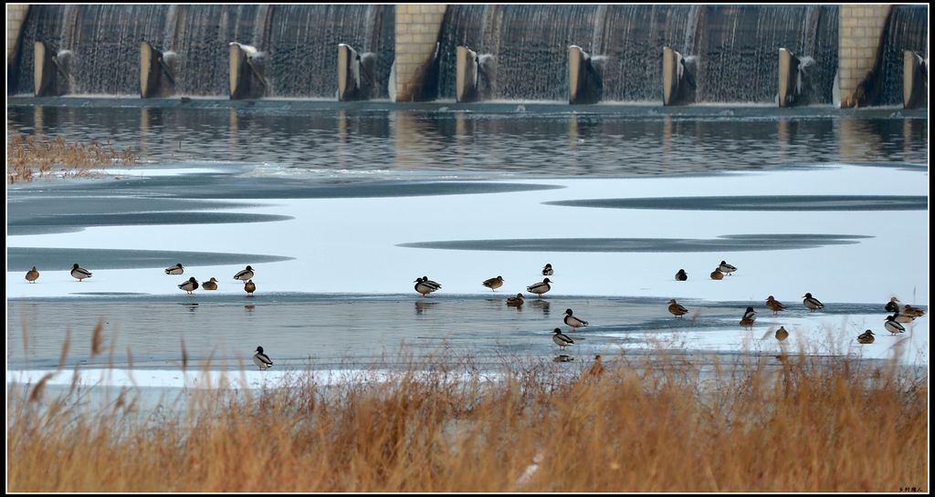 DSC_5814.jpg