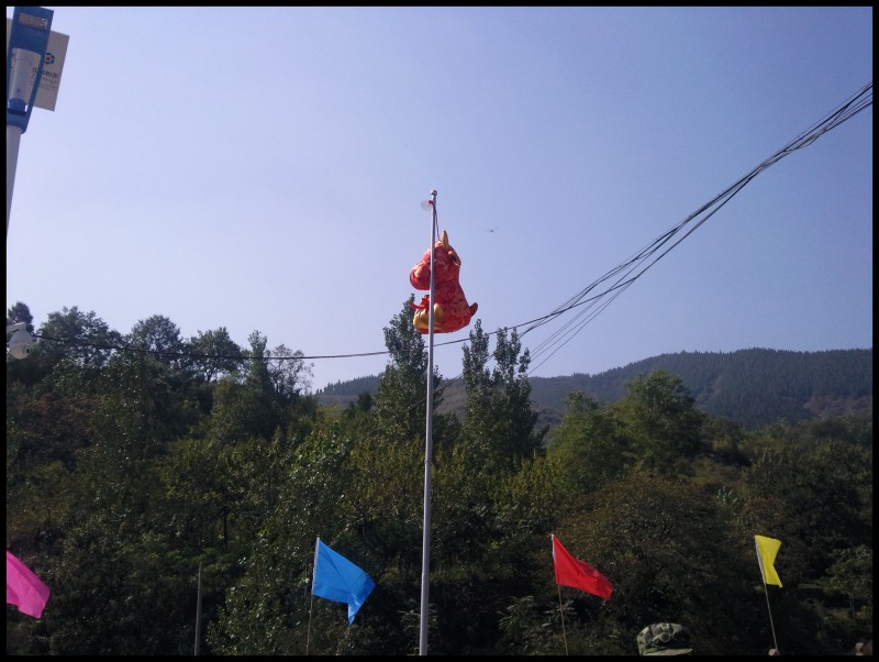 conew_照片253.jpg