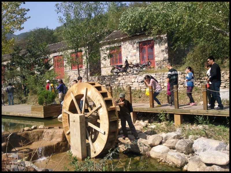 conew_照片260.jpg
