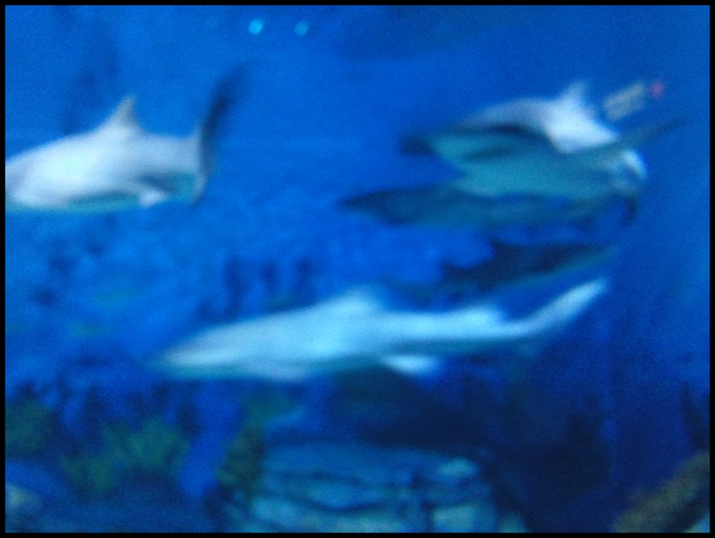 conew_照片156.jpg