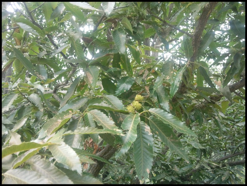 conew_照片079.jpg