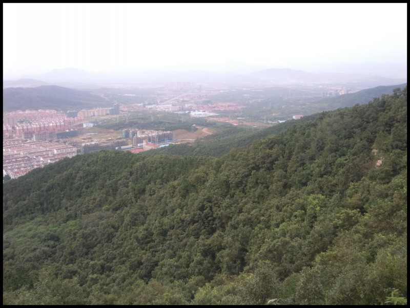 conew_照片077.jpg