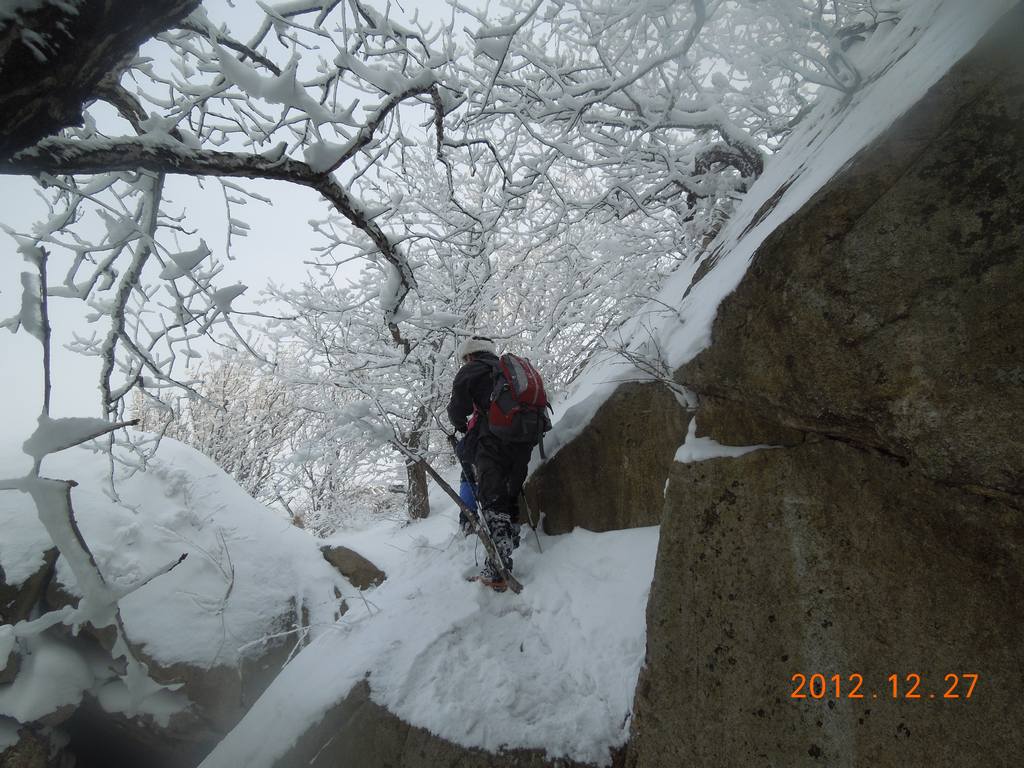 DSCN6323.jpg