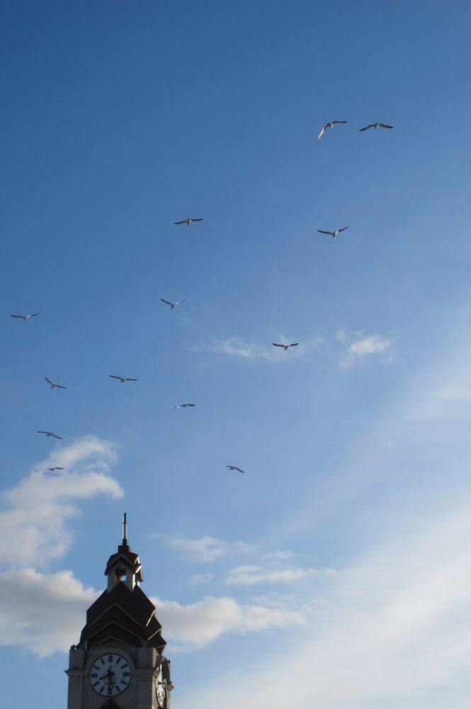 IMG_3727.JPG