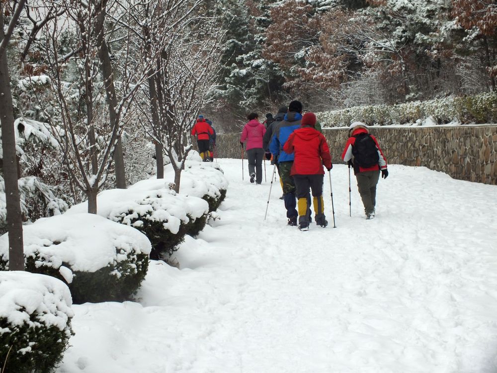 DSCF9438.JPG