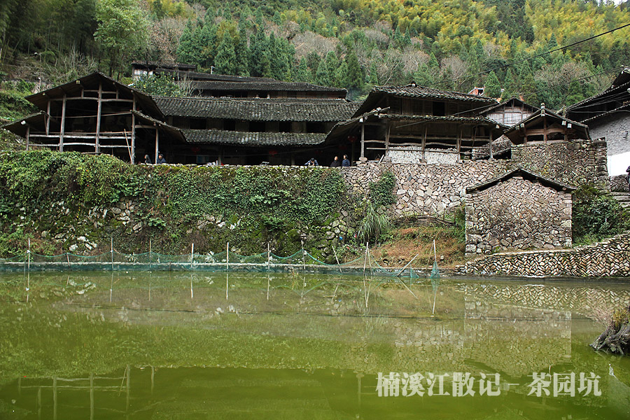 IMG_6394 拷贝.jpg