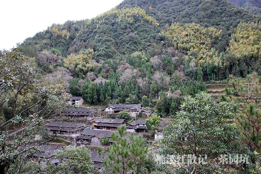 IMG_6355 拷贝.jpg