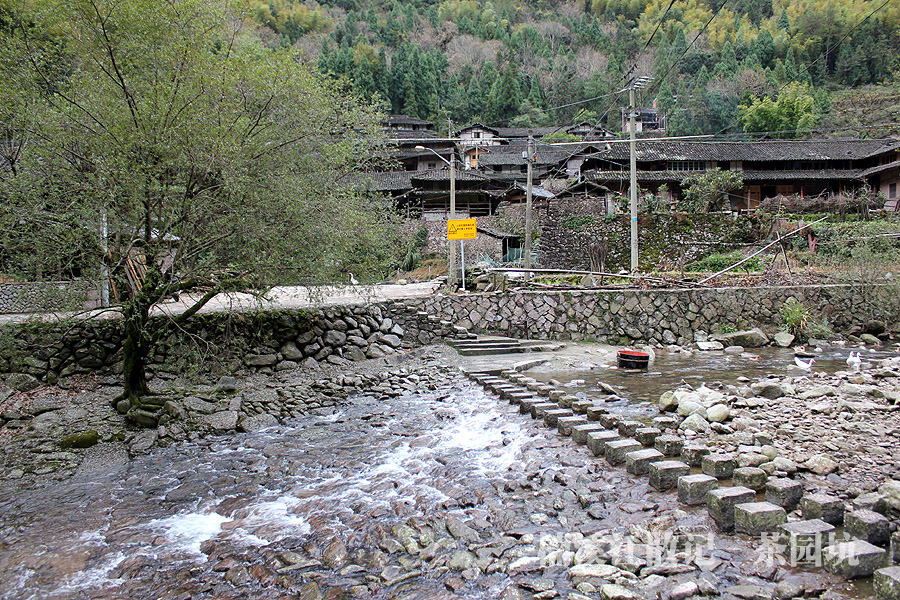 IMG_6354 拷贝.jpg