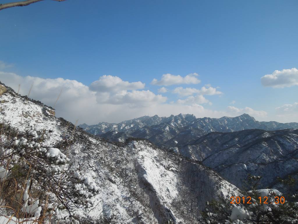 DSCN6531.jpg