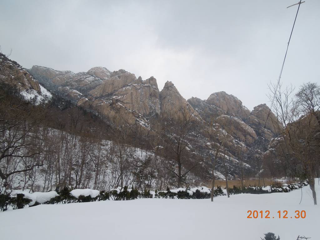 DSCN6615.jpg