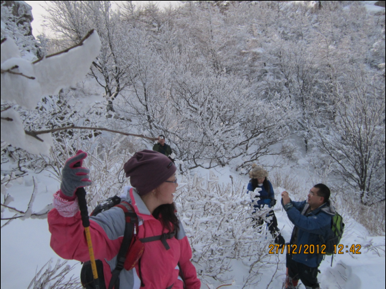 QQ截图20130102073606.png