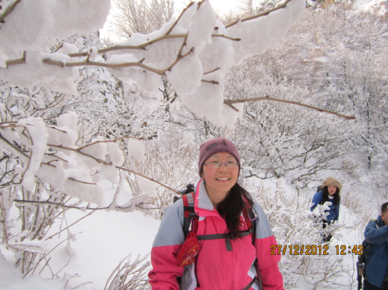 QQ截图20130102073438.png