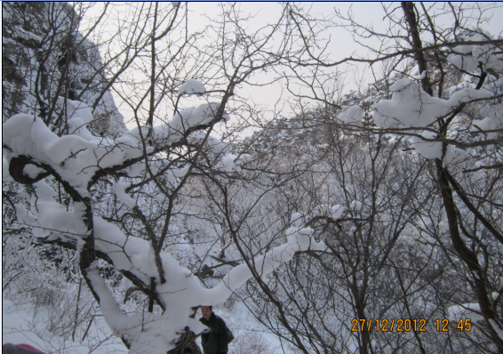 QQ截图20130102075151.png