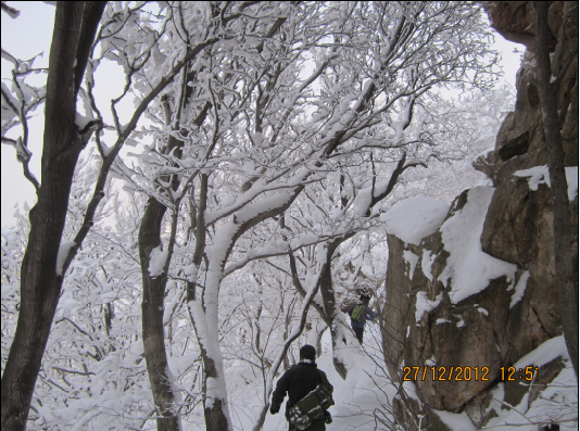 QQ截图20130102075455.png