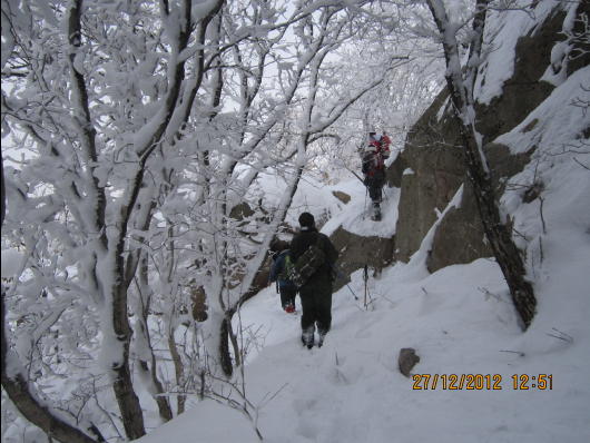 QQ截图20130102075618.png