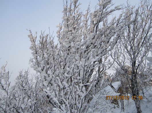 QQ截图20130102075725.png