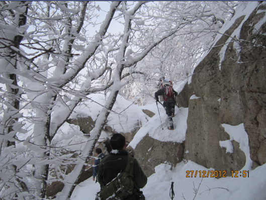 QQ截图20130102075645.png