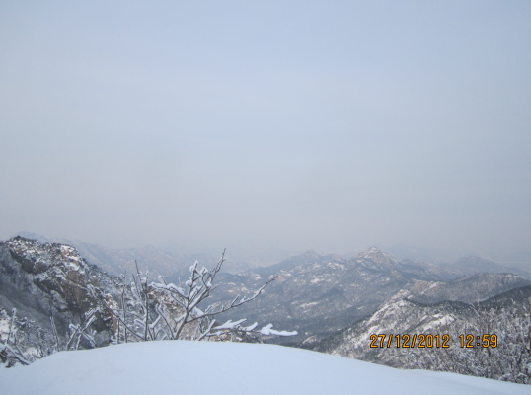 QQ截图20130102075752.png