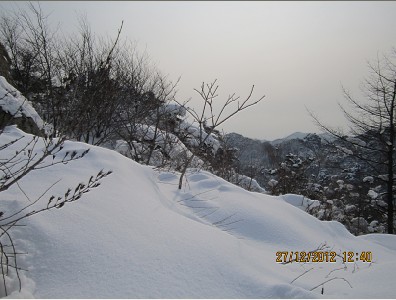 QQ截图20130102092944.jpg