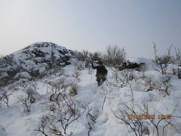 QQ截图20130102093917.jpg