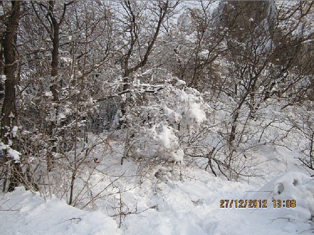 QQ截图20130102094228.jpg