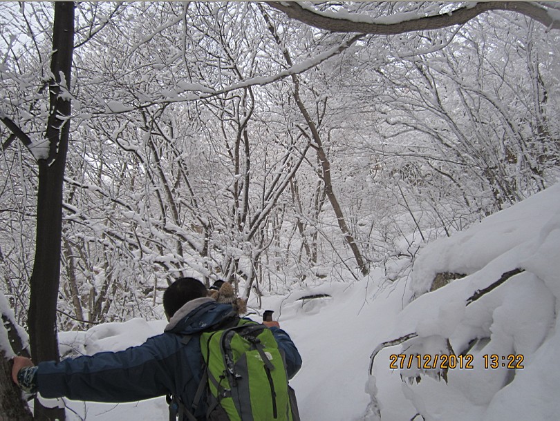 QQ截图20130102095219.jpg