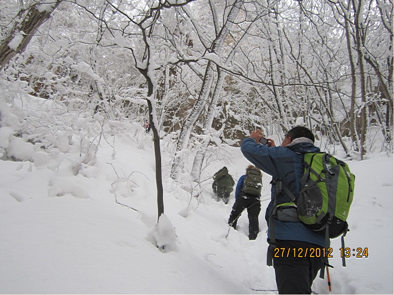 QQ截图20130102095445.jpg