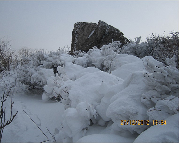 QQ截图20130102101244.jpg