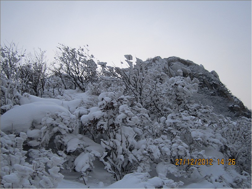 QQ截图20130102102447.jpg