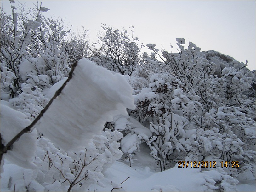 QQ截图20130102102528.jpg