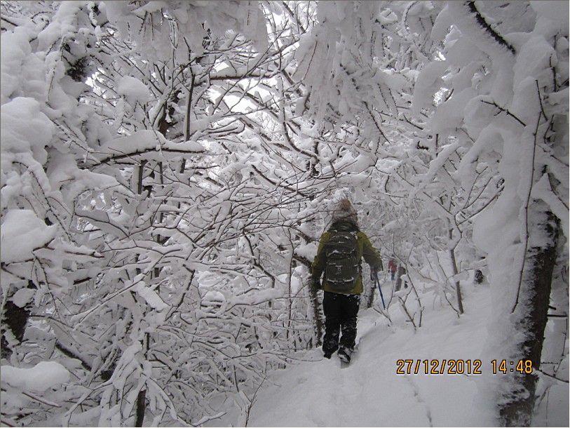 QQ截图20130102103501.jpg