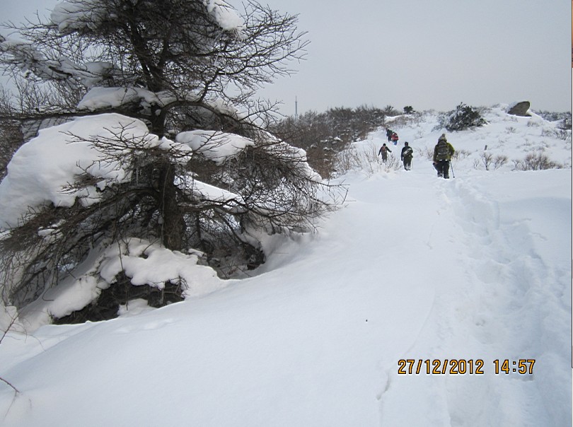 QQ截图20130102104225.jpg
