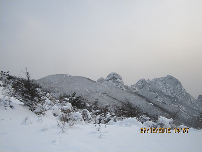 QQ截图20130102104425.jpg