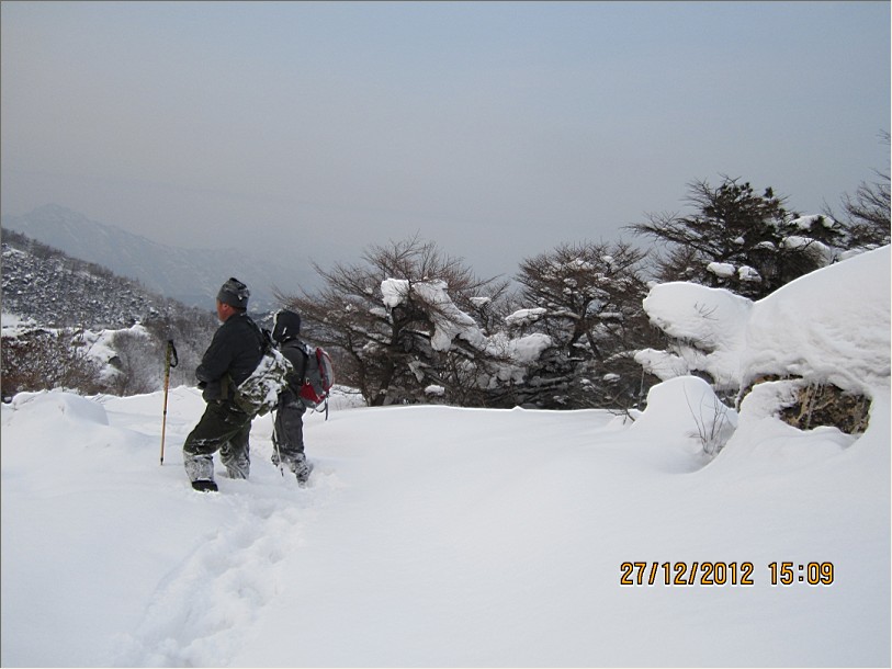 QQ截图20130102104750.jpg