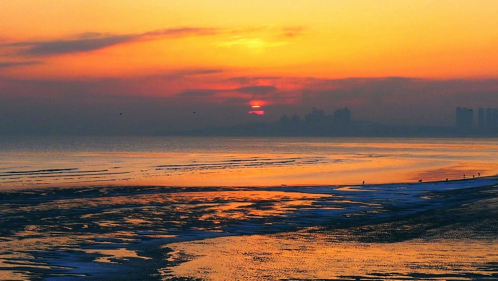 P1160485.jpg