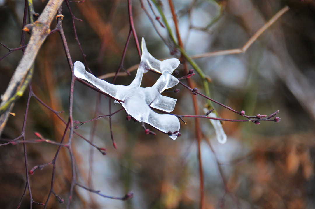 DSC_0381.JPG