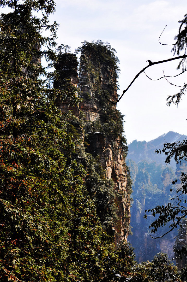 DSC_1964.JPG