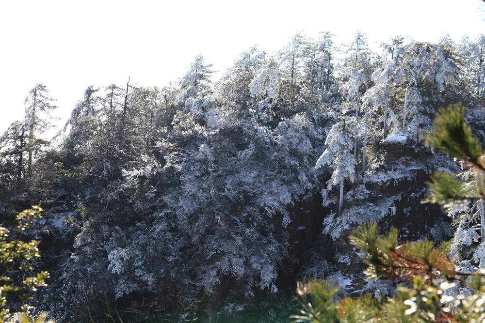 张家界和，天门山，凤凰古城 267.jpg
