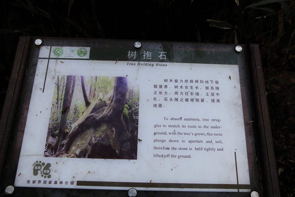 张家界和，天门山，凤凰古城 405.jpg
