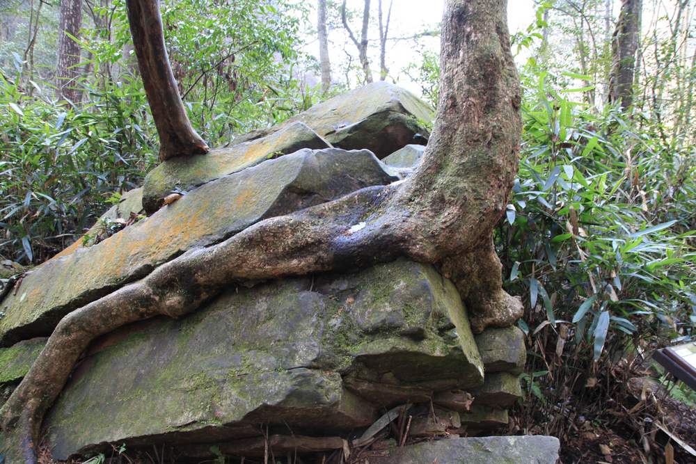 张家界和，天门山，凤凰古城 406.jpg