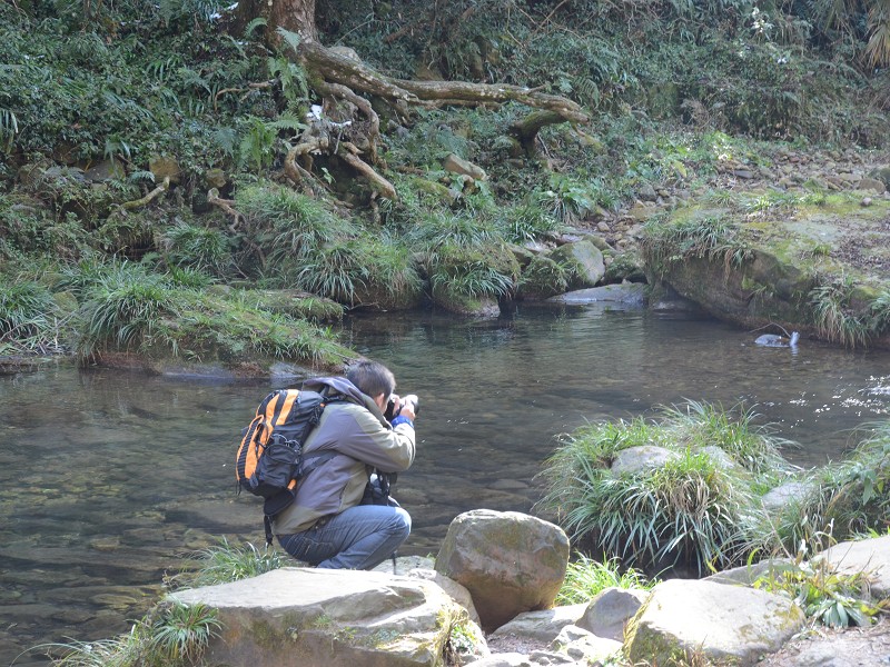 PhotoCap_314.jpg
