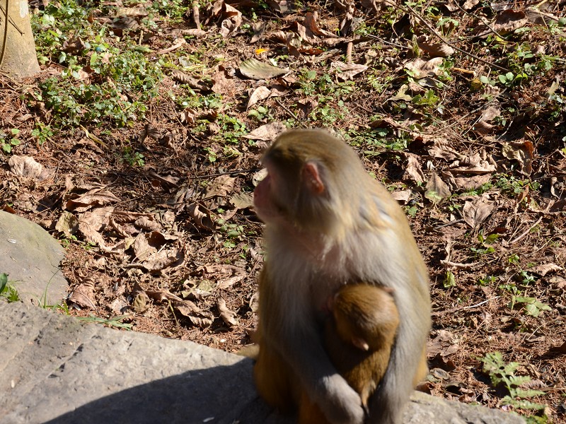 PhotoCap_307.jpg